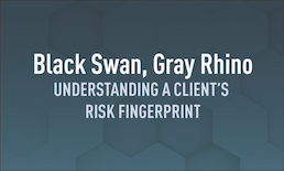 Black Swan, Gray Rhino